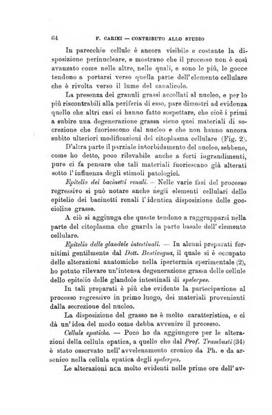 Lo sperimentale ovvero giornale critico di medicina e chirurgia per servire ai bisogni dell'arte salutare