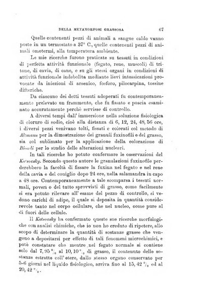 Lo sperimentale ovvero giornale critico di medicina e chirurgia per servire ai bisogni dell'arte salutare