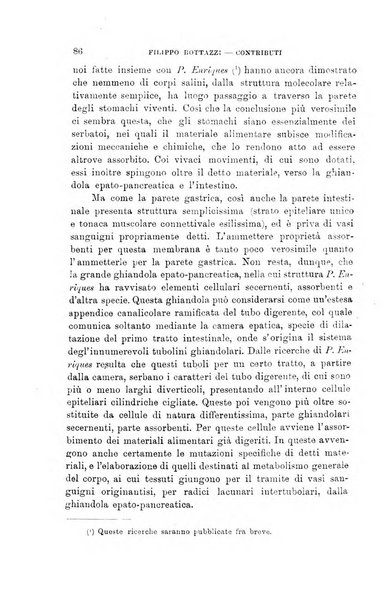 Lo sperimentale ovvero giornale critico di medicina e chirurgia per servire ai bisogni dell'arte salutare