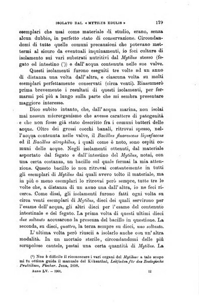 Lo sperimentale ovvero giornale critico di medicina e chirurgia per servire ai bisogni dell'arte salutare