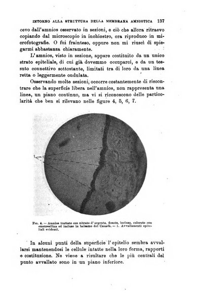 Lo sperimentale ovvero giornale critico di medicina e chirurgia per servire ai bisogni dell'arte salutare