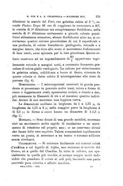 Lo sperimentale ovvero giornale critico di medicina e chirurgia per servire ai bisogni dell'arte salutare