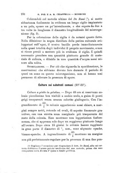 Lo sperimentale ovvero giornale critico di medicina e chirurgia per servire ai bisogni dell'arte salutare