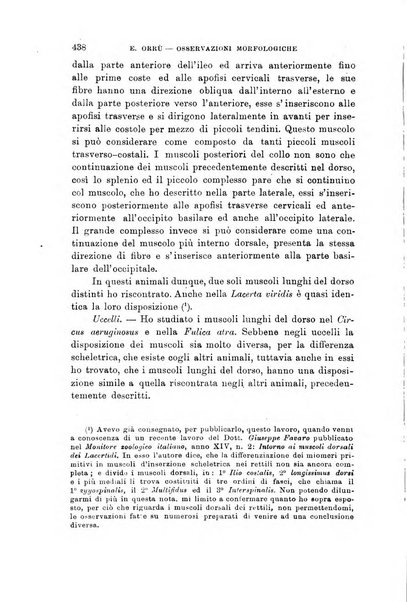 Lo sperimentale ovvero giornale critico di medicina e chirurgia per servire ai bisogni dell'arte salutare