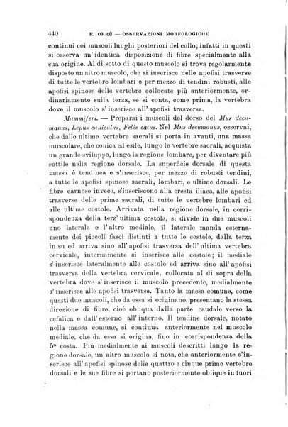 Lo sperimentale ovvero giornale critico di medicina e chirurgia per servire ai bisogni dell'arte salutare