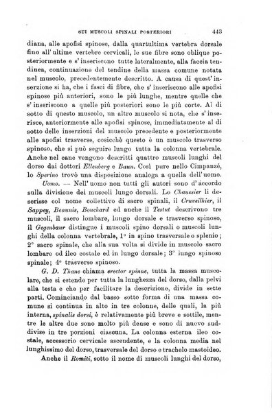 Lo sperimentale ovvero giornale critico di medicina e chirurgia per servire ai bisogni dell'arte salutare