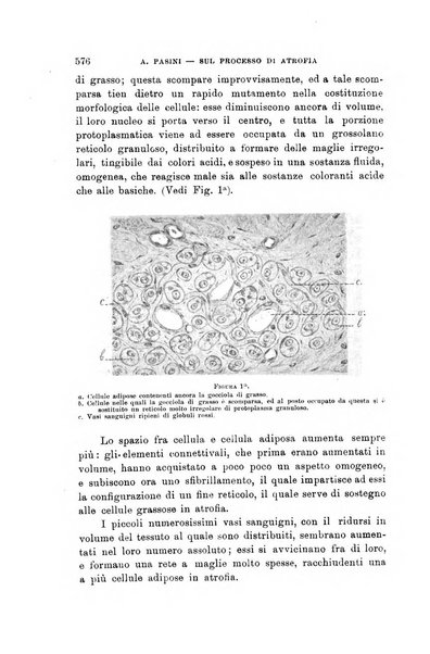 Lo sperimentale ovvero giornale critico di medicina e chirurgia per servire ai bisogni dell'arte salutare