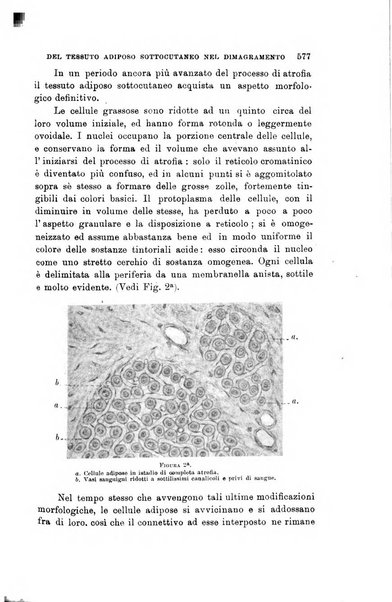 Lo sperimentale ovvero giornale critico di medicina e chirurgia per servire ai bisogni dell'arte salutare