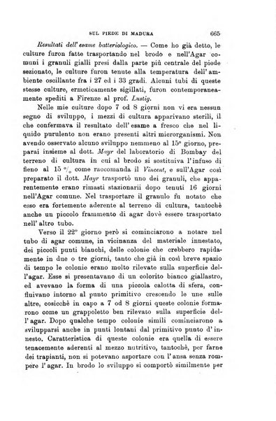 Lo sperimentale ovvero giornale critico di medicina e chirurgia per servire ai bisogni dell'arte salutare