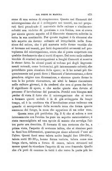 Lo sperimentale ovvero giornale critico di medicina e chirurgia per servire ai bisogni dell'arte salutare