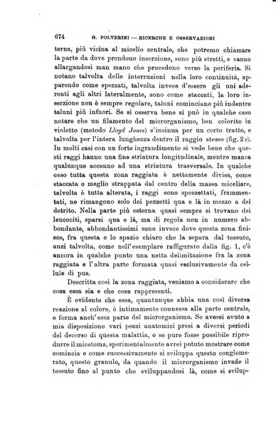 Lo sperimentale ovvero giornale critico di medicina e chirurgia per servire ai bisogni dell'arte salutare