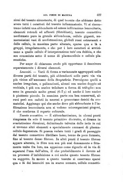 Lo sperimentale ovvero giornale critico di medicina e chirurgia per servire ai bisogni dell'arte salutare