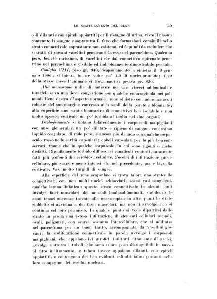 Lo sperimentale ovvero giornale critico di medicina e chirurgia per servire ai bisogni dell'arte salutare