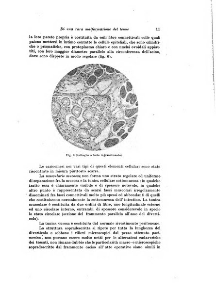 Lo sperimentale ovvero giornale critico di medicina e chirurgia per servire ai bisogni dell'arte salutare