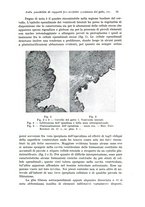 giornale/TO00195636/1937/v.91/00000021