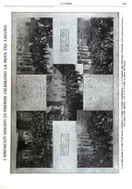 giornale/TO00195911/1923-1924/unico/00000397