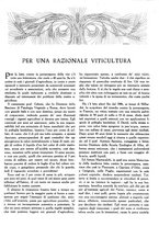 giornale/TO00195911/1923-1924/unico/00000497