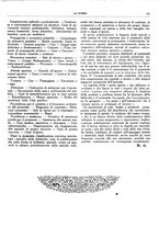 giornale/TO00195911/1925/unico/00000135