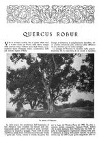 giornale/TO00195911/1925/unico/00000198