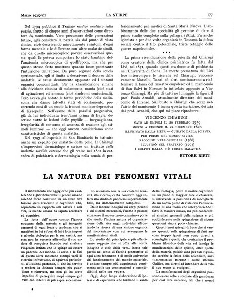 La stirpe rivista delle corporazioni fasciste