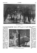 giornale/TO00195911/1929/unico/00000455