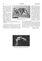 giornale/TO00195911/1930/unico/00000232