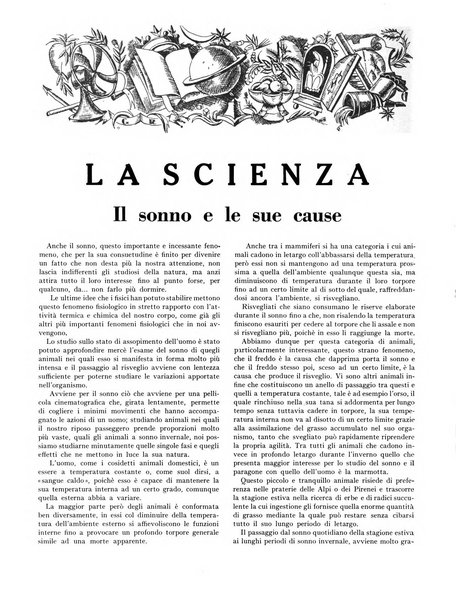 La stirpe rivista delle corporazioni fasciste