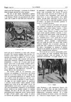 giornale/TO00195911/1931/unico/00000239