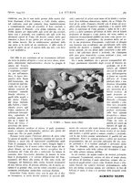 giornale/TO00195911/1934/unico/00000403