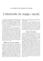 giornale/TO00195911/1935/unico/00000155