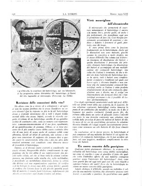 La stirpe rivista delle corporazioni fasciste