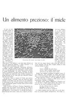 giornale/TO00195911/1935/unico/00000199