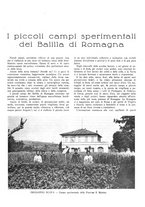 giornale/TO00195911/1935/unico/00000313