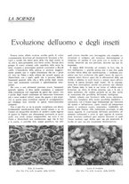 giornale/TO00195911/1935/unico/00000316