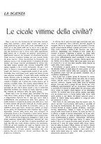 giornale/TO00195911/1936/unico/00000411