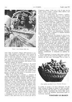 giornale/TO00195911/1937/unico/00000238