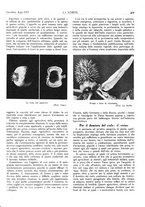 giornale/TO00195911/1937/unico/00000425