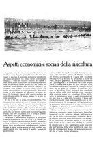 giornale/TO00195911/1938/unico/00000223