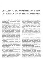 giornale/TO00195911/1939/unico/00000217