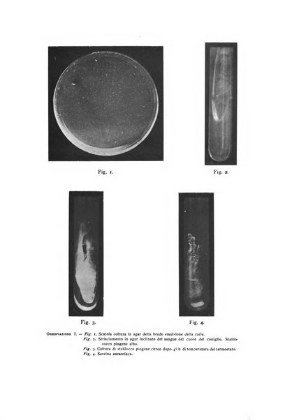 La stomatologia periodico mensile