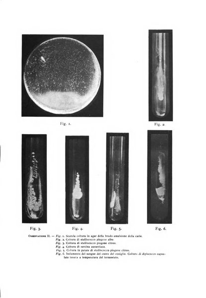 La stomatologia periodico mensile