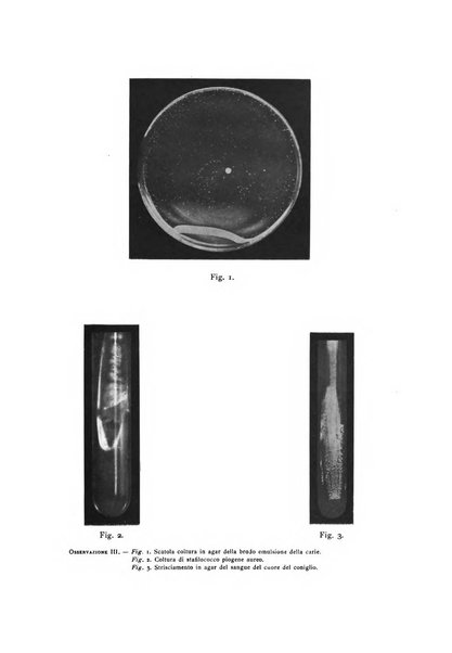 La stomatologia periodico mensile