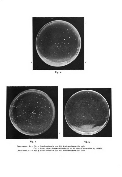 La stomatologia periodico mensile