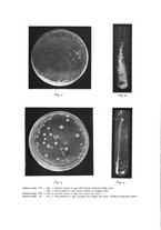 giornale/TO00195913/1907-1908/unico/00000719