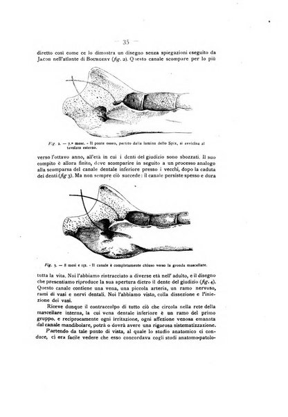 La stomatologia periodico mensile