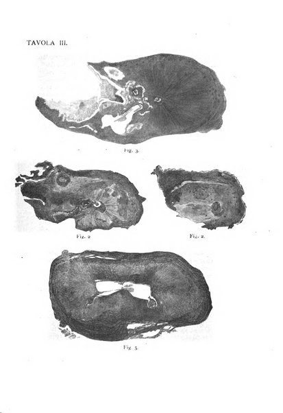 La stomatologia periodico mensile