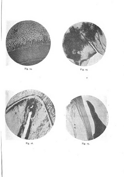 La stomatologia periodico mensile