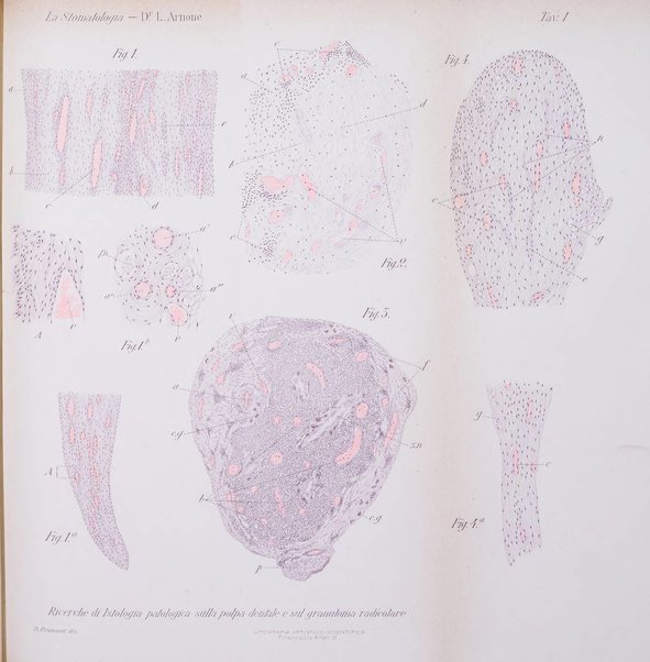 La stomatologia periodico mensile