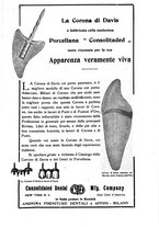 giornale/TO00195913/1910-1911/unico/00000187