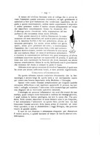 giornale/TO00195913/1910-1911/unico/00000225